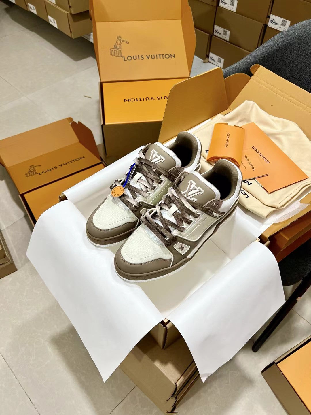 Louis Vuitton Sneakers