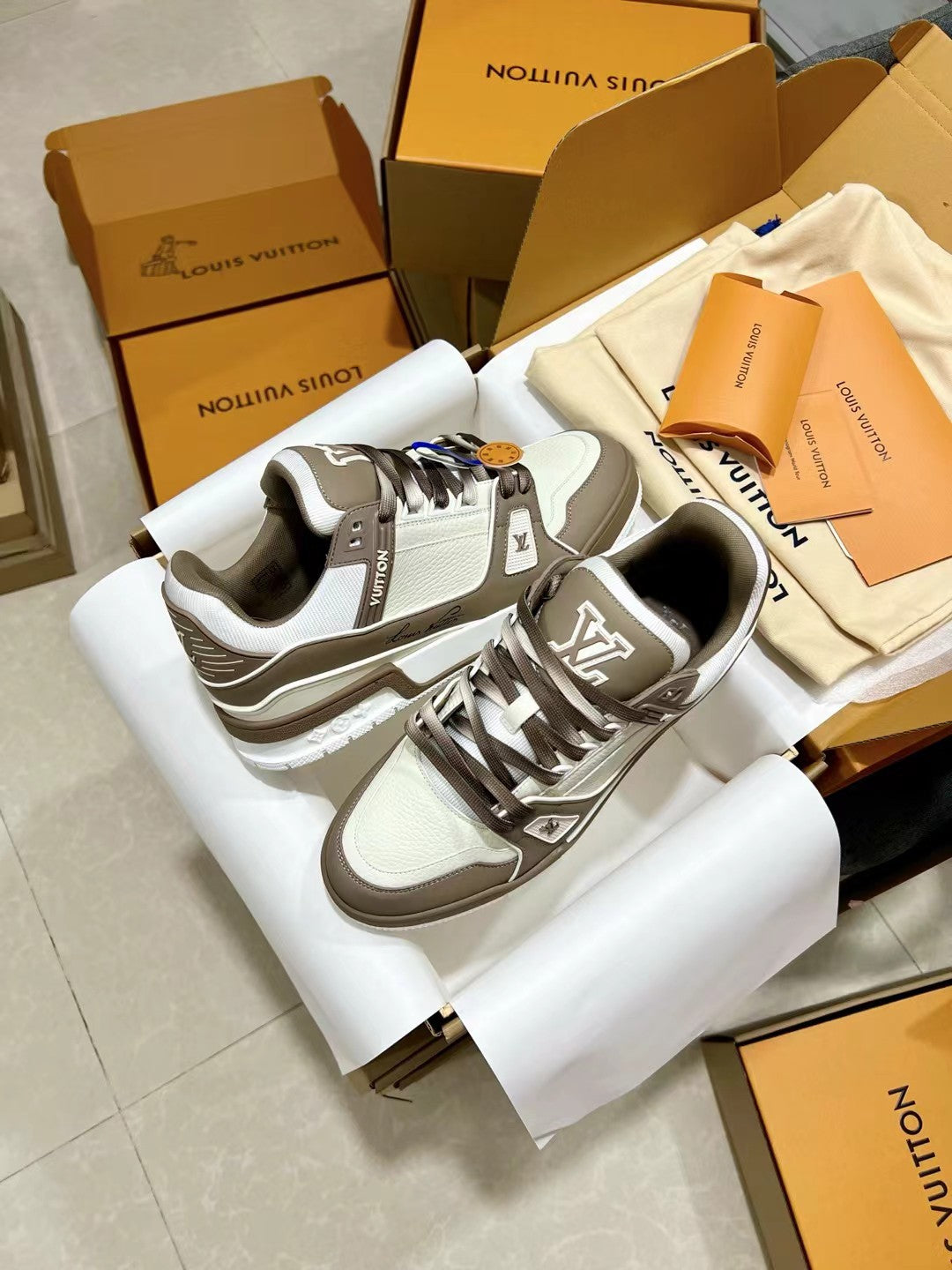Louis Vuitton Sneakers