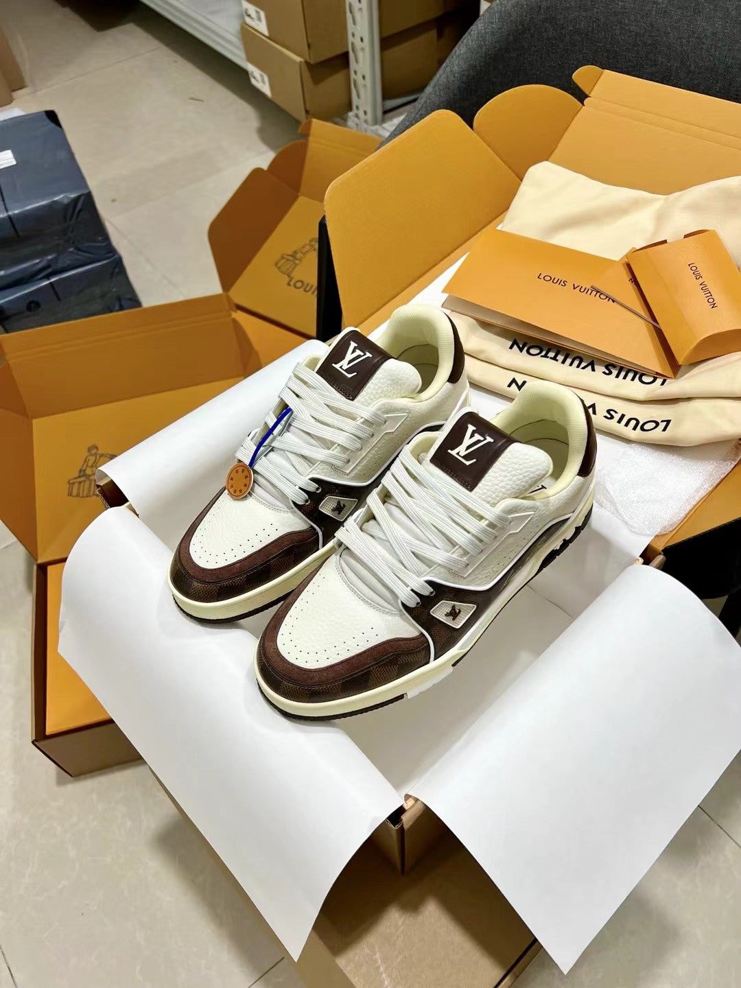 Louis Vuitton Sneakers