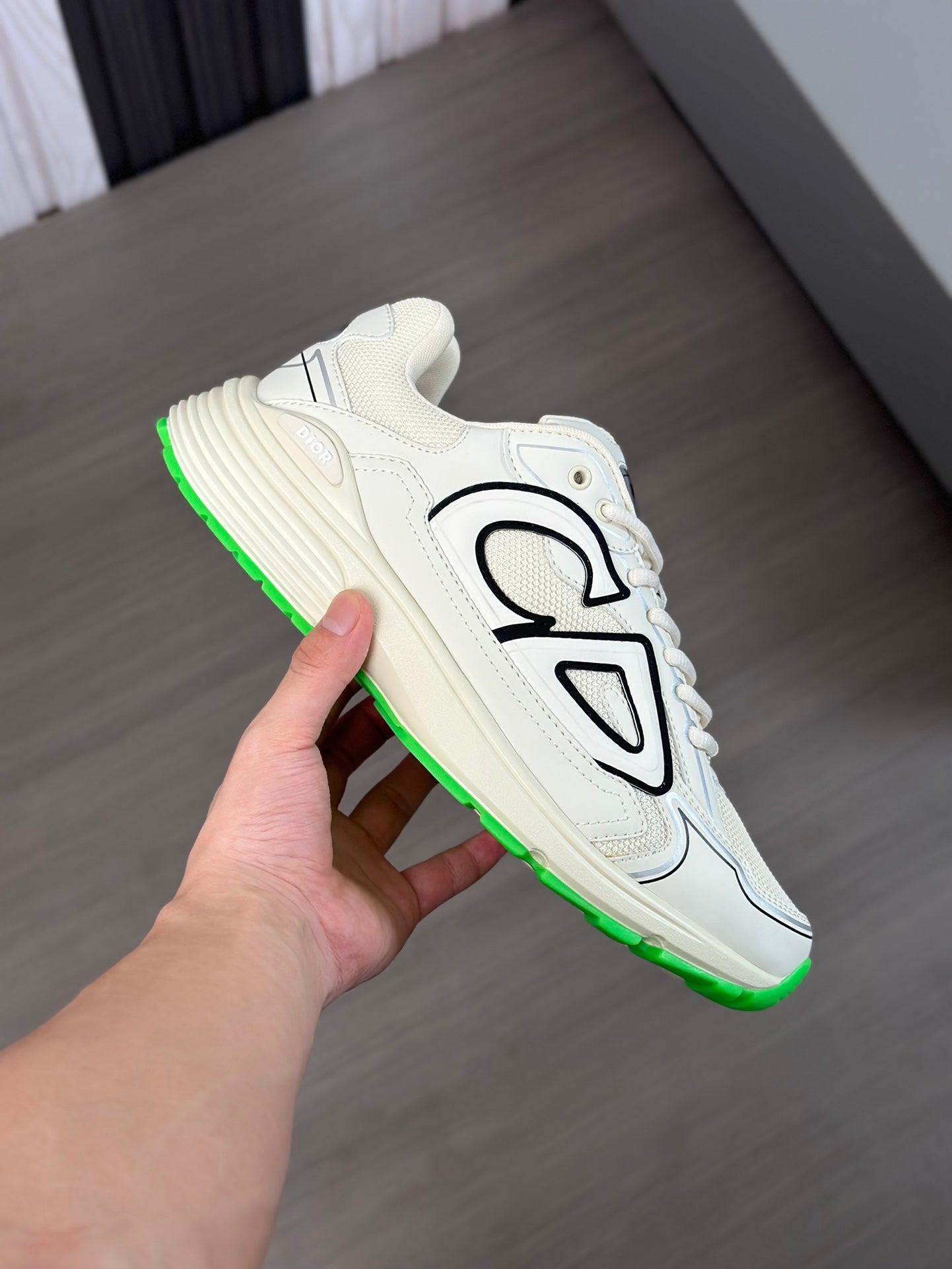 Christian Dior Sneakers