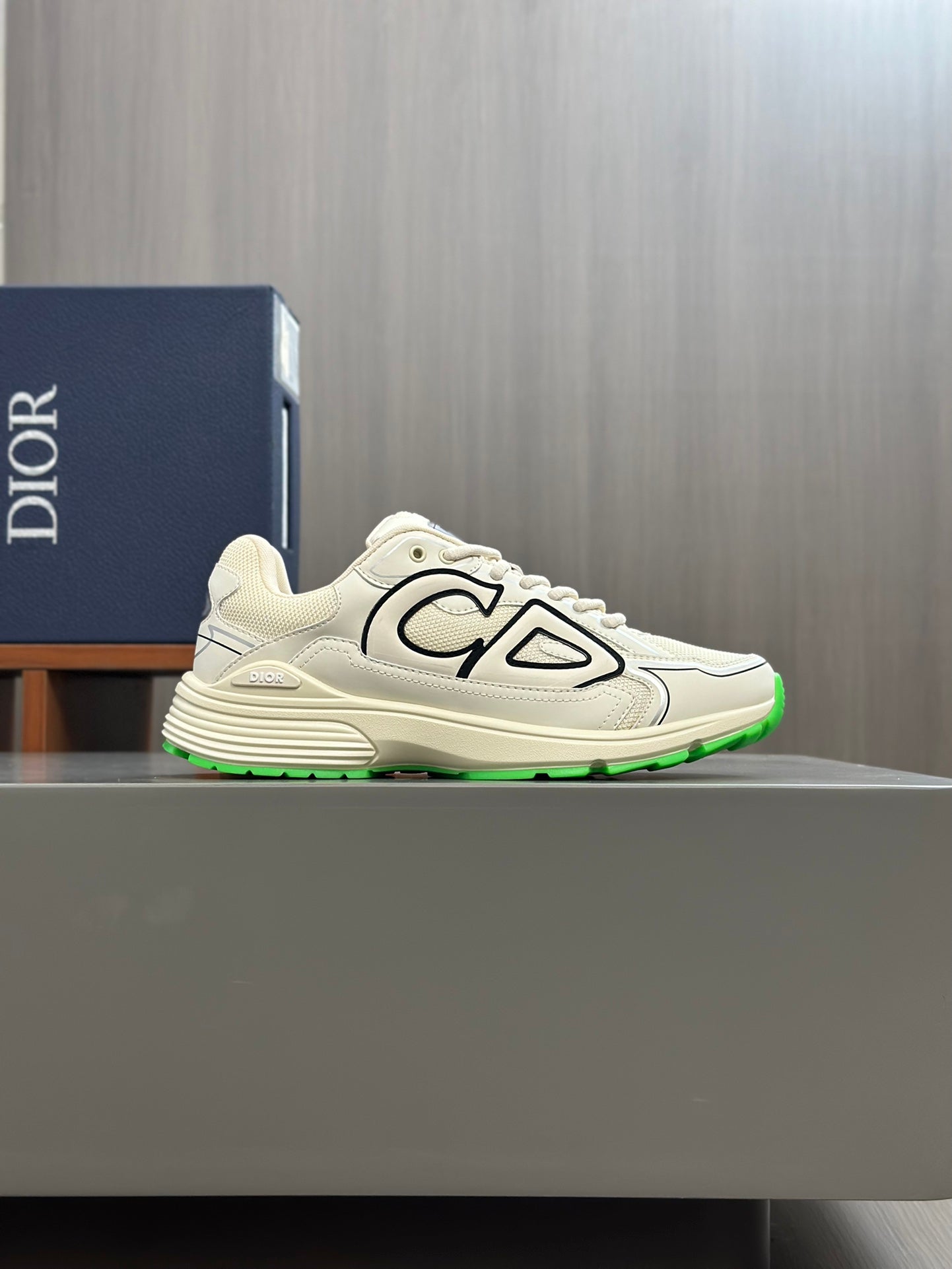 Christian Dior Sneakers