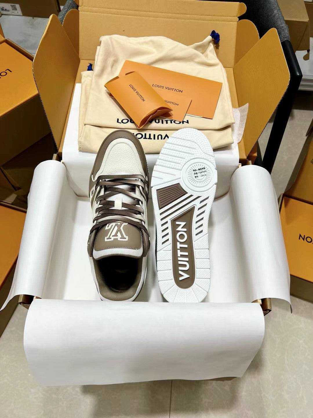 Louis Vuitton Sneakers