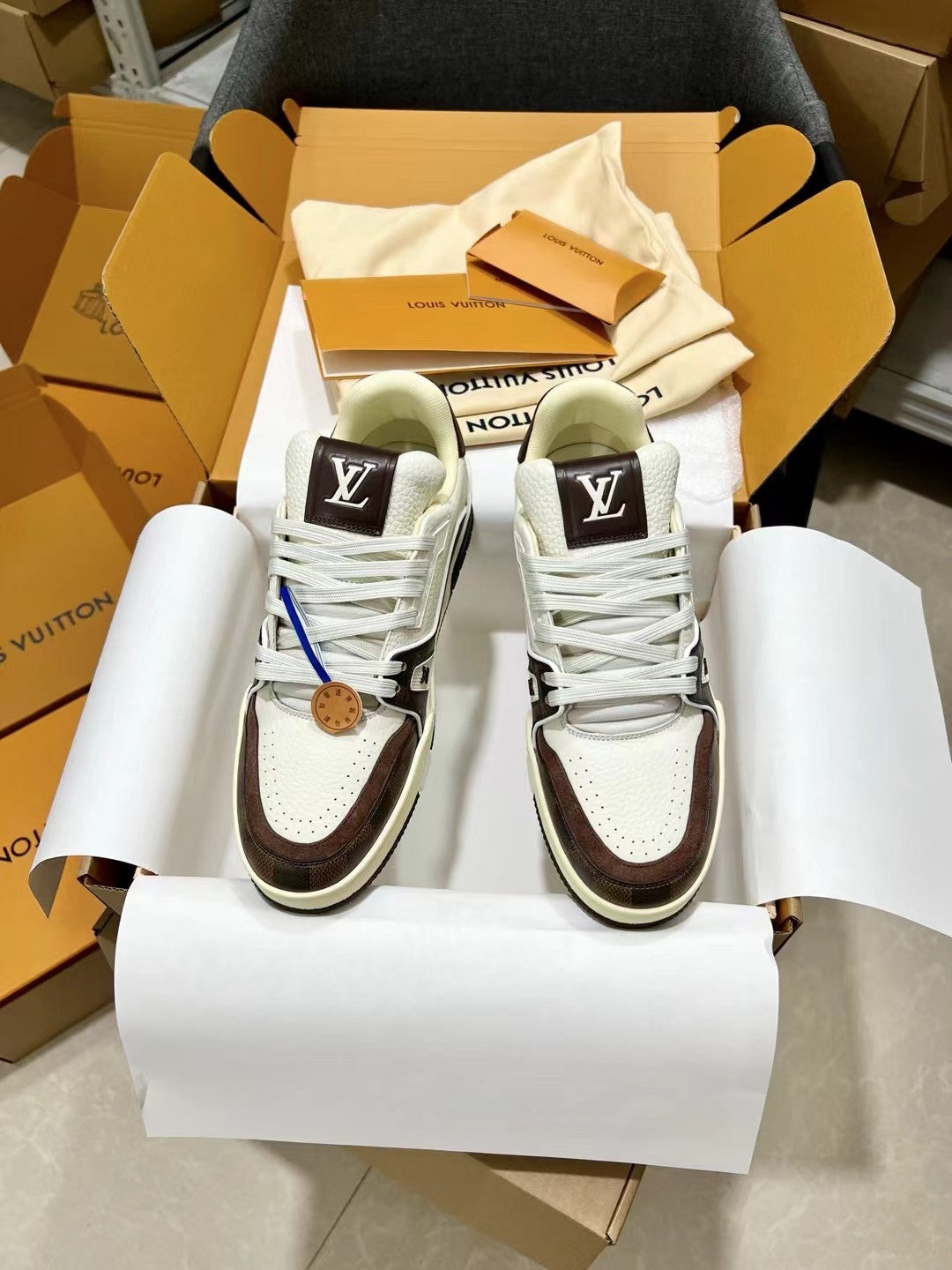 Louis Vuitton Sneakers