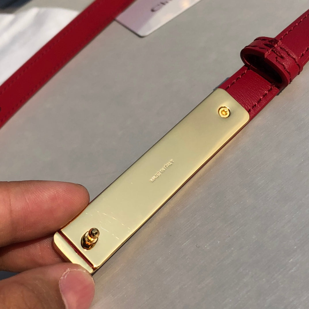Christian Dior Belt