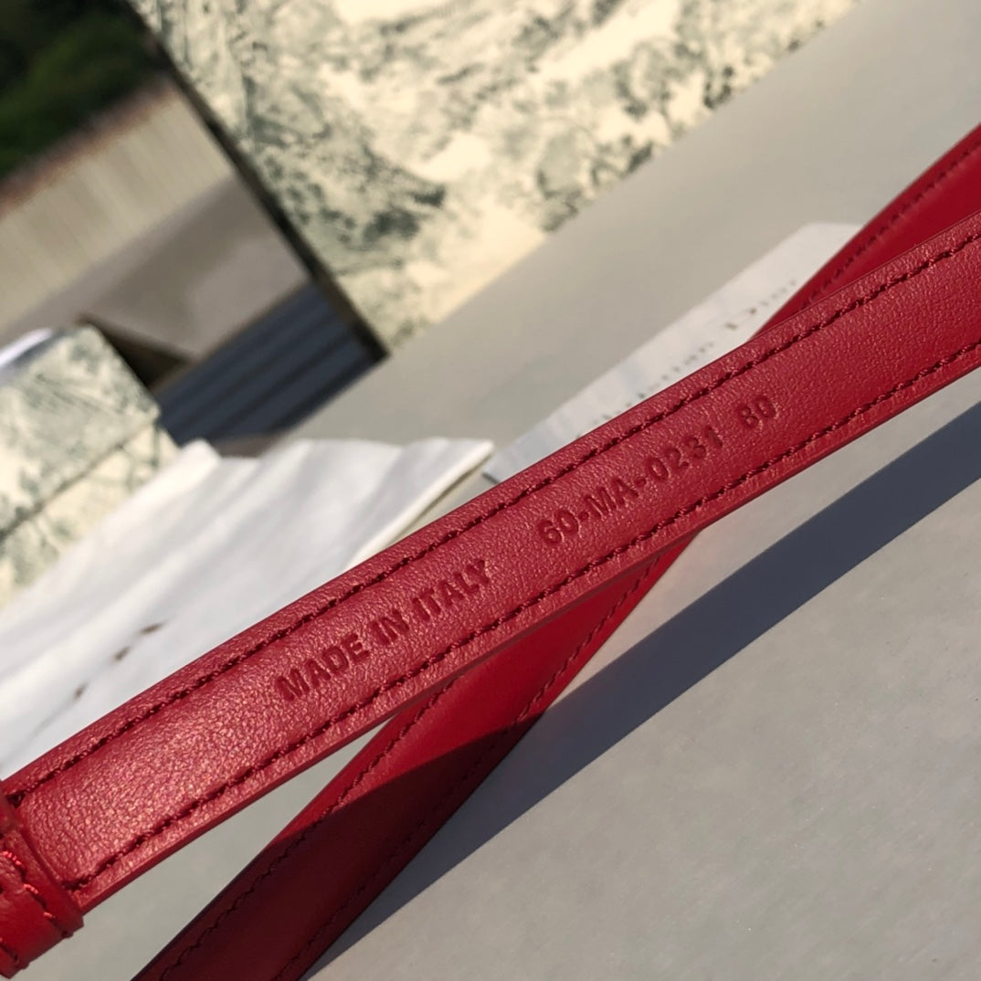Christian Dior Belt