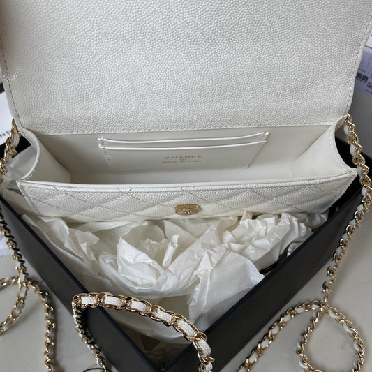 CHANEL CLUTCH WITH CHAIN - Summer 2025