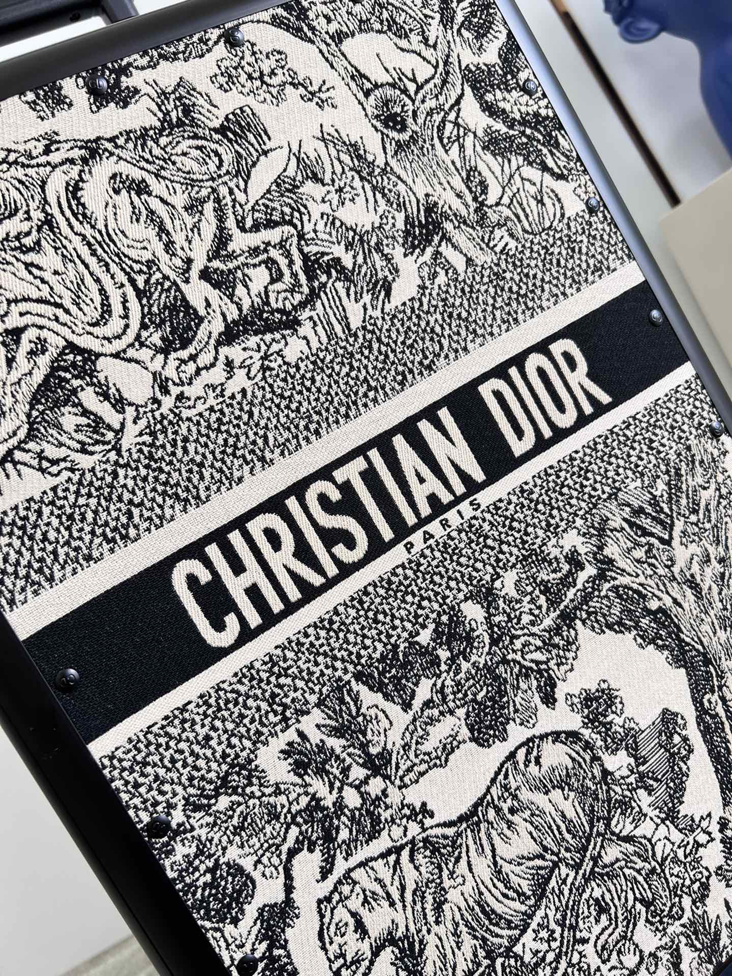 Dior Diortravel Suitcase