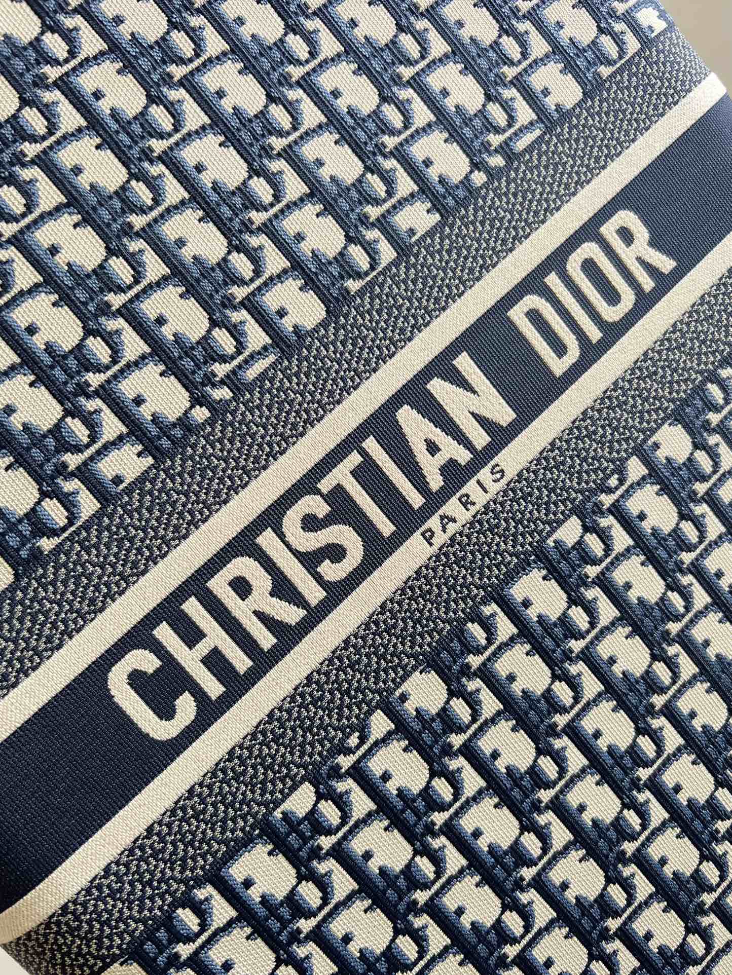 Dior Diortravel Suitcase