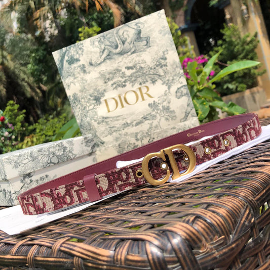 Christian Dior Belt